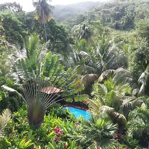 Ti Plen Kreol , Pointe-Noire Guadeloupe